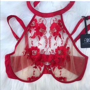 ISO Honey Birdette